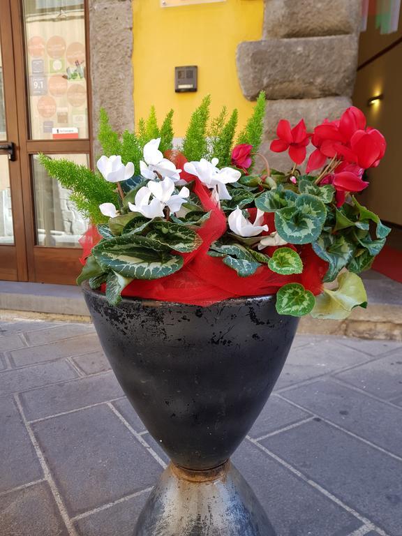 Hotel Urbano V Montefiascone Eksteriør bilde